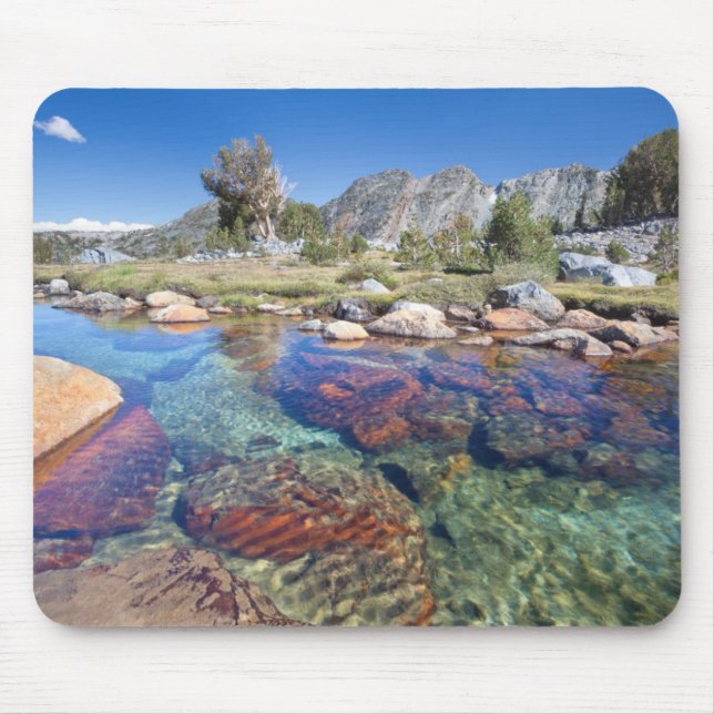 Tapis De Souris États-Unis, Californie, Inyo National Forest 4 (Devant)