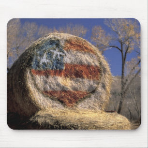 Tapis De Souris ÉTATS-UNIS, Colorado, Gunnison. Rouleau de foin pa