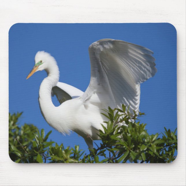 Tapis De Souris États-Unis, Floride, Saint-Augustine, Egret (Devant)
