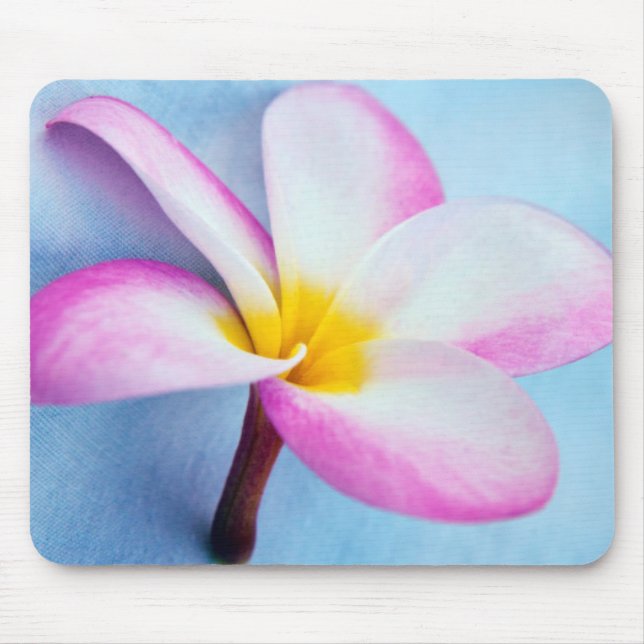 Tapis De Souris États-Unis, Hawaï, Oahu, fleurs de la plumeria en  (Devant)