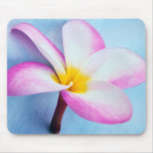 Tapis De Souris États-Unis, Hawaï, Oahu, Fleurs de plumeria en fle