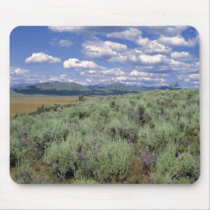 Tapis De Souris États-Unis, Idaho, Camas Co. Sagebrush et lupine