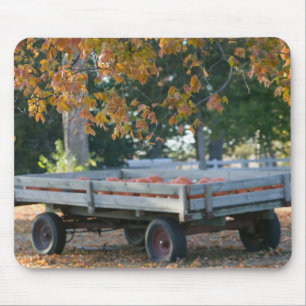 Tapis De Souris États-Unis, IOWA, comté de Madison, Winterset : Ho