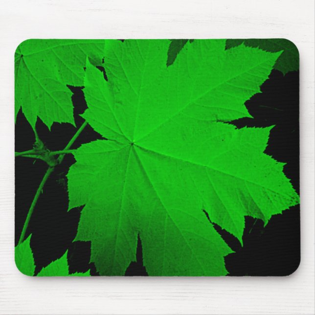 Tapis De Souris États-Unis, Kansas, Feuilles de chêne dans la lumi (Devant)