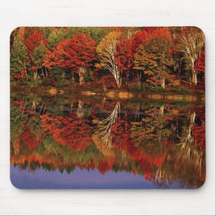 Tapis De Souris États-Unis, Michigan, Upper Peninsula. Automne