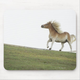 Tapis De Souris États-Unis, New York State, Hudson, Cheval courir 