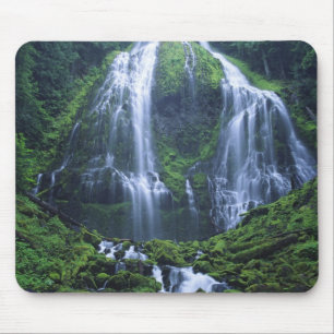 Tapis De Souris États-Unis, Oregon, Forêt nationale de Willamette.