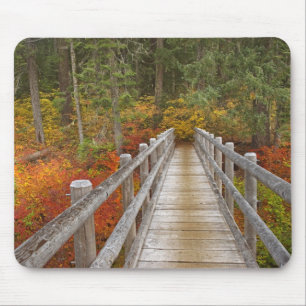 Tapis De Souris États-Unis, Oregon, Forêt nationale de Willamette.