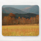 États-Unis, Tennessee. Cades Cove In Smoky Mountai