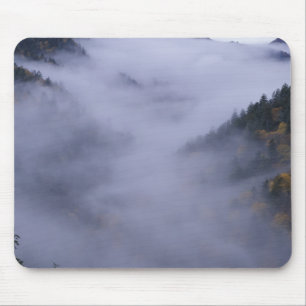 Tapis De Souris États-Unis, Tennessee. Great Smokey Mountains Nati
