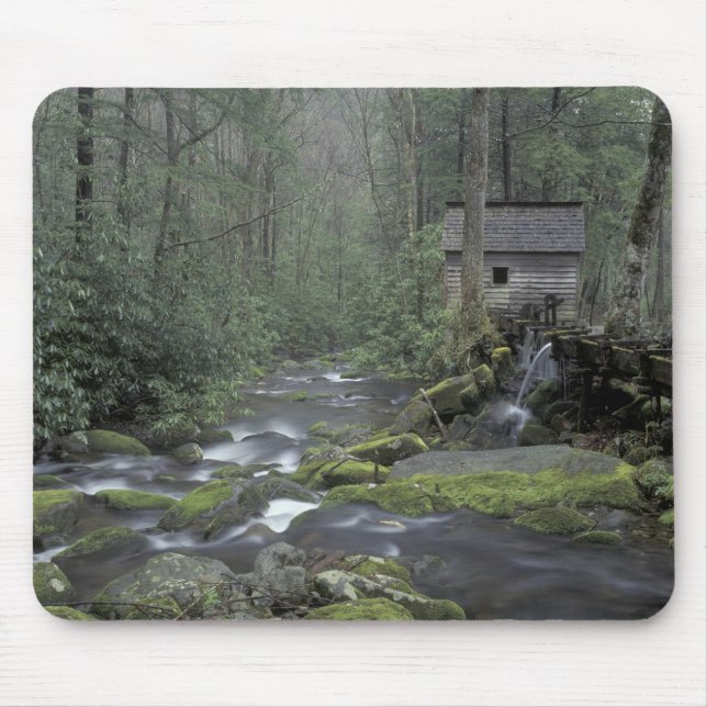 Tapis De Souris États-Unis, Tennessee, Great Smoky Mountains Natio (Devant)