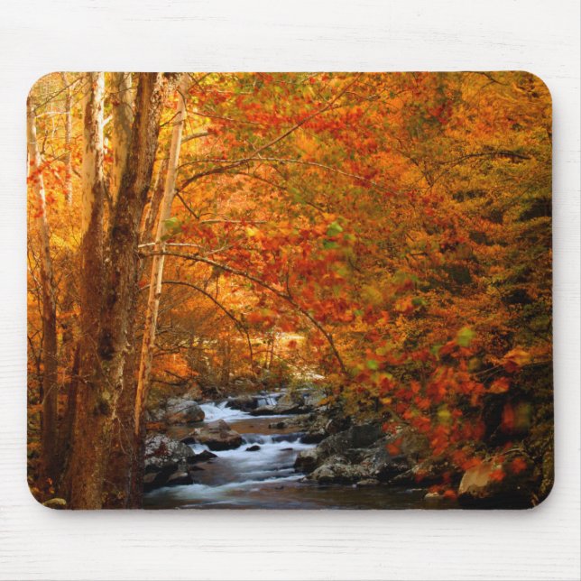 Tapis De Souris États-Unis, Tennessee. Ruisseau Rushing Mountain 2 (Devant)