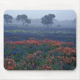 Tapis De Souris États-Unis, Texas, près de Lytle Fog, chênes, bleu