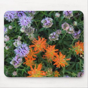 Tapis De Souris États-Unis, Utah, Forêt nationale d'Uinta-Wasatch-