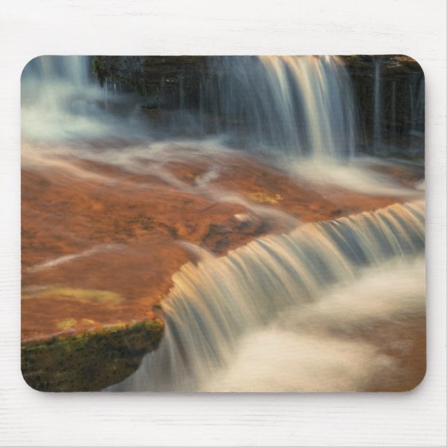 Tapis De Souris États-Unis, Utah, Zion National Park. Pittoresque  (Devant)