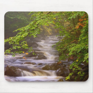 Tapis De Souris États-Unis, Vermont, East Arlington, Flux