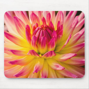 Tapis De Souris États-Unis, Washington. Détail de la fleur de dahl