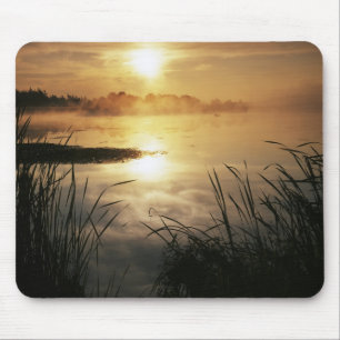 Tapis De Souris Etats-Unis, Washington, Lopez Island, Matin de bro