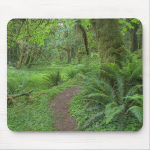 Tapis De Souris États-Unis, Washington, Olympic National Park,