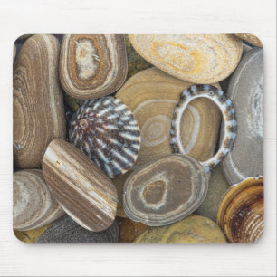 Tapis De Souris États-Unis, Washington, Seabeck. Le Rapprochement