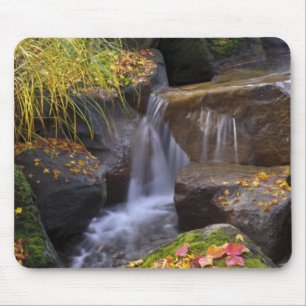 Tapis De Souris États-Unis, Washington, Seattle