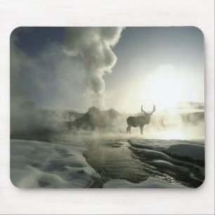 Tapis De Souris États-Unis, Wyoming, Parc national de Yellowstone.