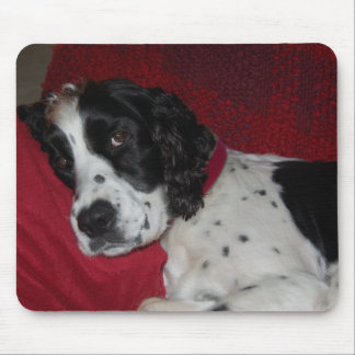 Tapis De Souris Êtes-vous faits encore ?