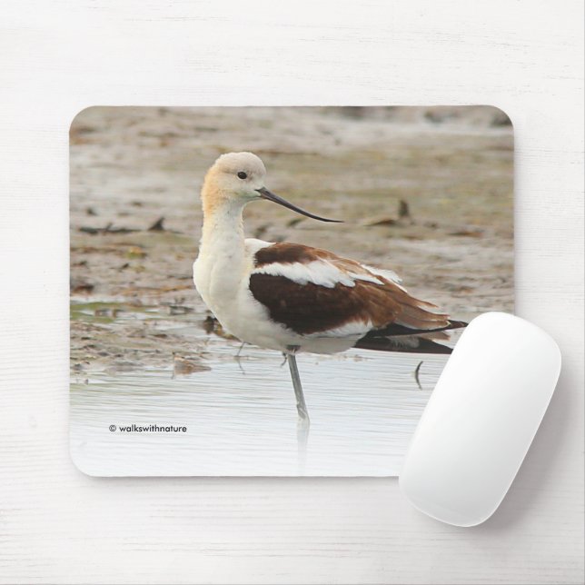 Tapis De Souris Étonnant oiseau à pattes à la plage américain Avoc (Avec souris)