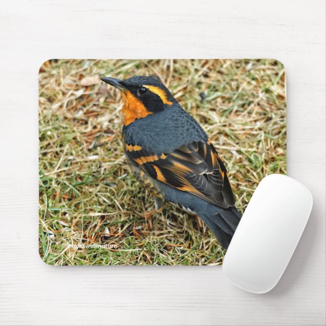 Tapis De Souris Étonnant oiseau-chanteur à grive variée dans l'her (Avec souris)