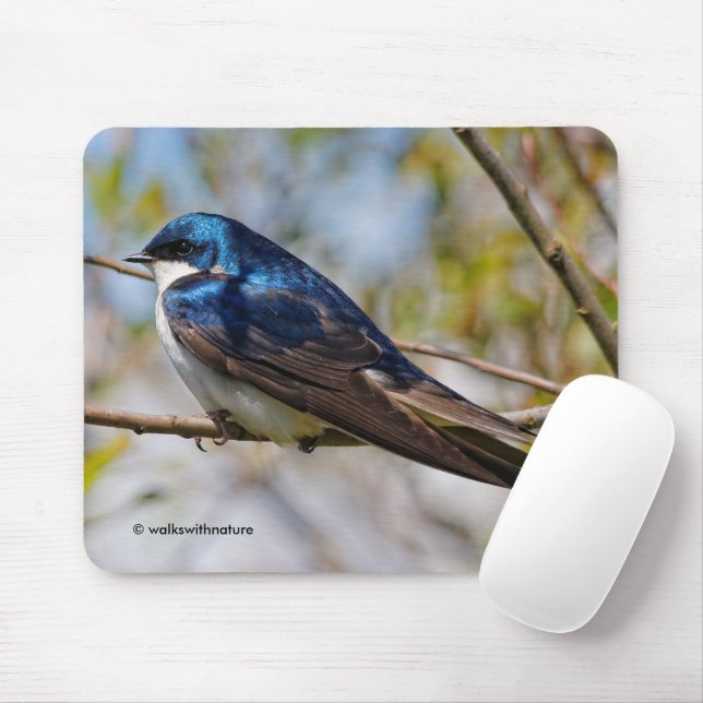 Tapis De Souris Étonnant oiseau-chanteur d'hirondelle d'arbre sur  (Avec souris)