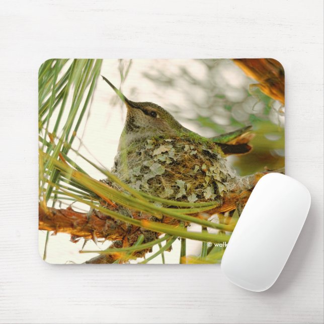 Tapis De Souris Étonnante maman colibri d'Anna sur le nid (Avec souris)