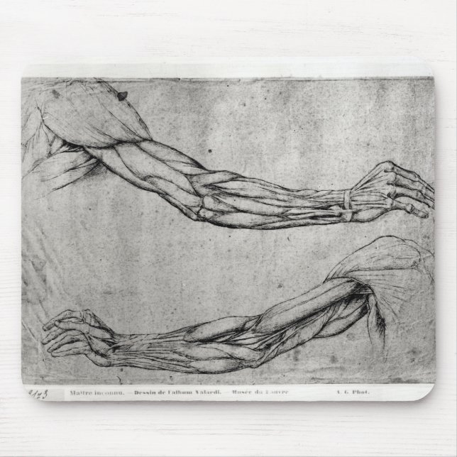 Tapis De Souris Étude des bras (Devant)