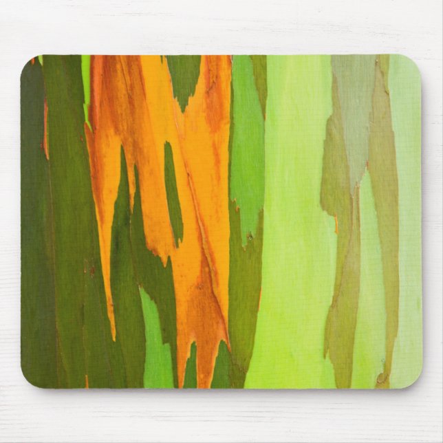 Tapis De Souris Eucalyptus écorce arc-en-ciel, Hawaï (Devant)