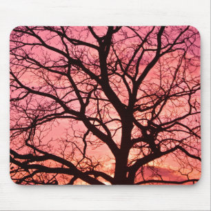 Tapis De Souris Evening Blush Tree Silhouette
