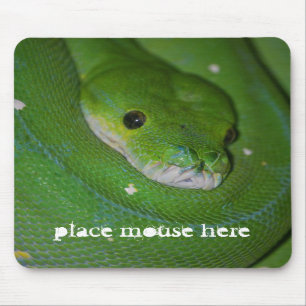 Tapis de souris exotique enroulé de serpent vert