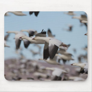 Tapis De Souris Exploser Dans Le Ciel Socorro