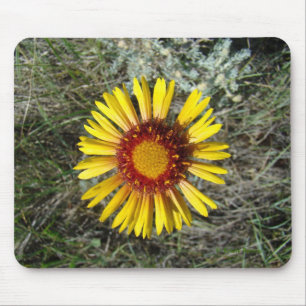 Tapis De Souris F1 Fleur sauvage jaune Gaillardia