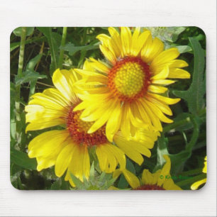 Tapis De Souris F6 Fleurs sauvages jaunes Gaillardia