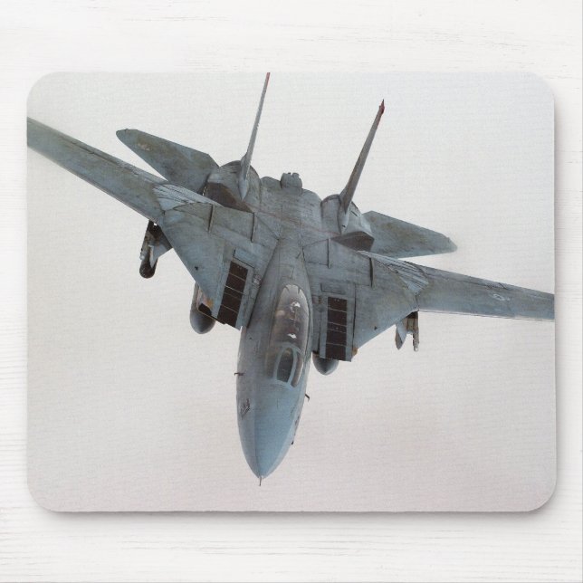 TAPIS DE SOURIS F-14 (Devant)