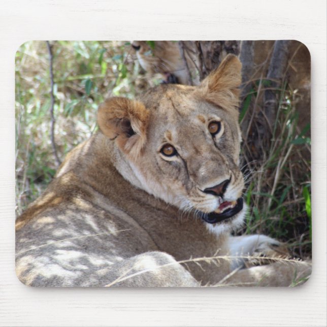 Tapis De Souris face de lion (Devant)