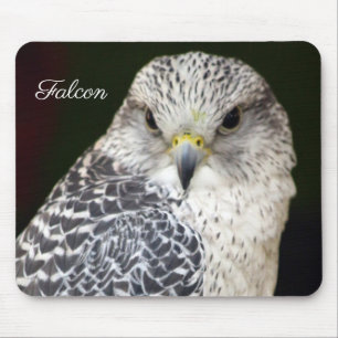 Tapis De Souris Falcon