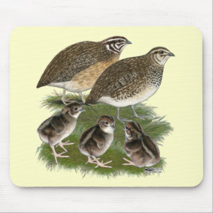 Tapis De Souris Famille de cailles de Coturnix