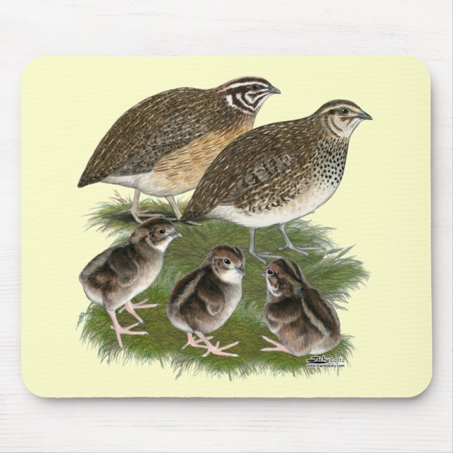 Tapis De Souris Famille de cailles de Coturnix (Devant)