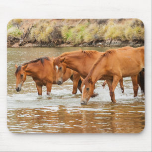 Tapis De Souris Famille de Cheval Brown à la rivière