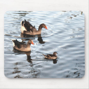 Tapis De Souris Famille Duck