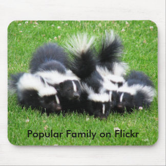 Tapis De Souris Famille populaire de Flickr