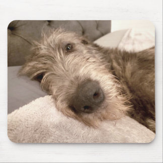 Tapis De Souris Fatigué jeune Wolfhound irlandais