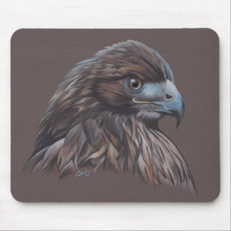 Tapis De Souris Faucon dans le crayon coloré
