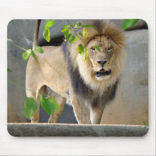 Tapis De Souris Faune Mousepad de lion