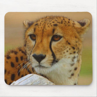 Tapis De Souris Faune Mousepad de visage de guépard